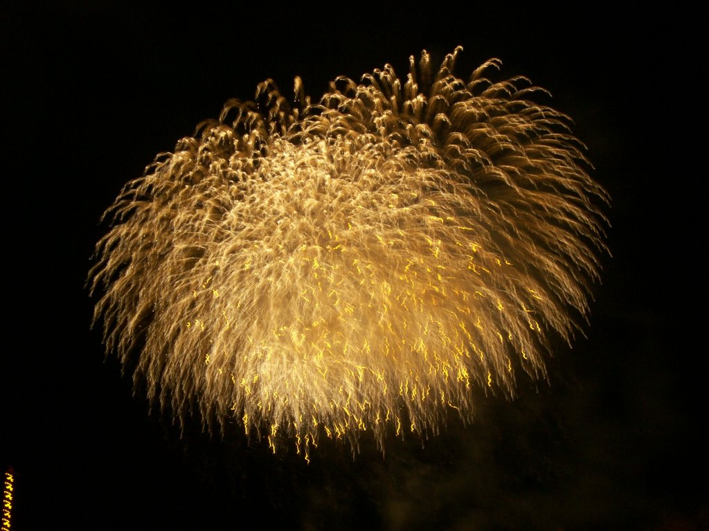 Japan Day Fireworks 2008 Düsseldorf by oygabee