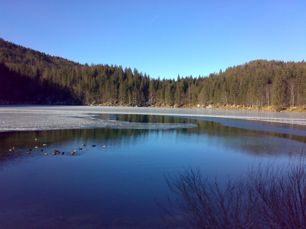 Laghi di Fusine by Nicola Grillo