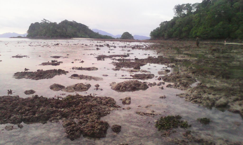 Jln Teluk Datai, 07000 Langkawi, Kedah, Malaysia by Andrew J