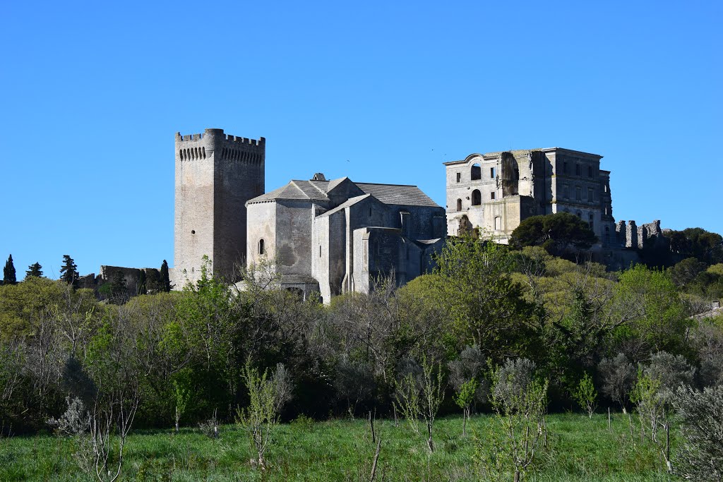 Abbaye de Montmajour by AlbeZani