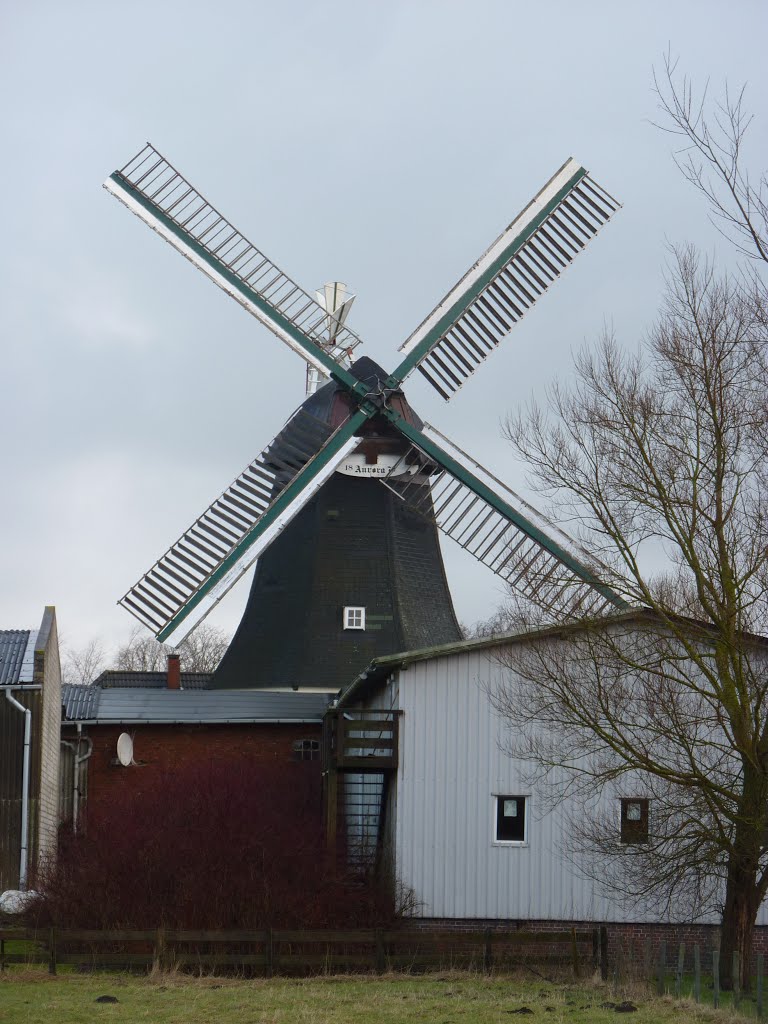 Windmühle 25554 Wilster, Deutschland by Klaus Heyna