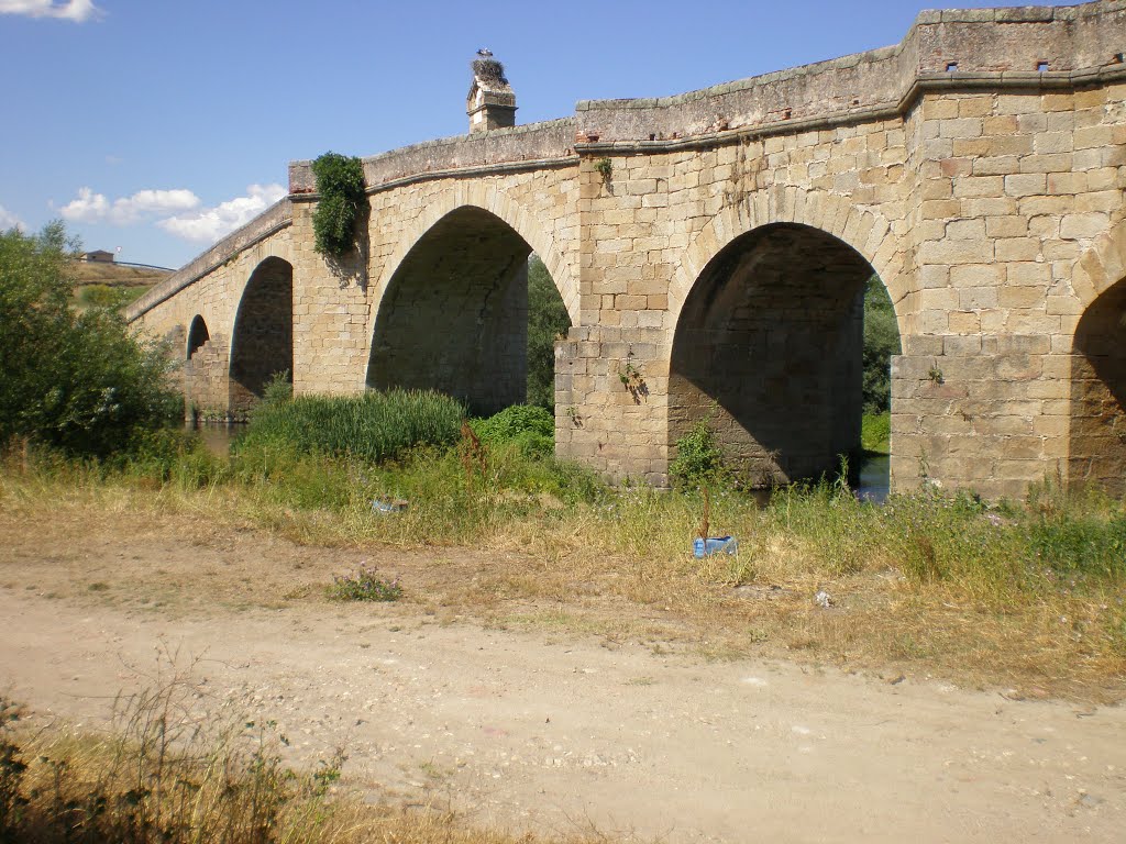 10691 Galisteo, Cáceres, Spain by Julian Garcia Garcia