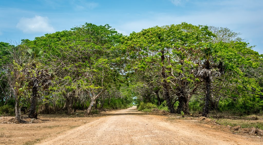 Palali Road by Lasitha Prabhash