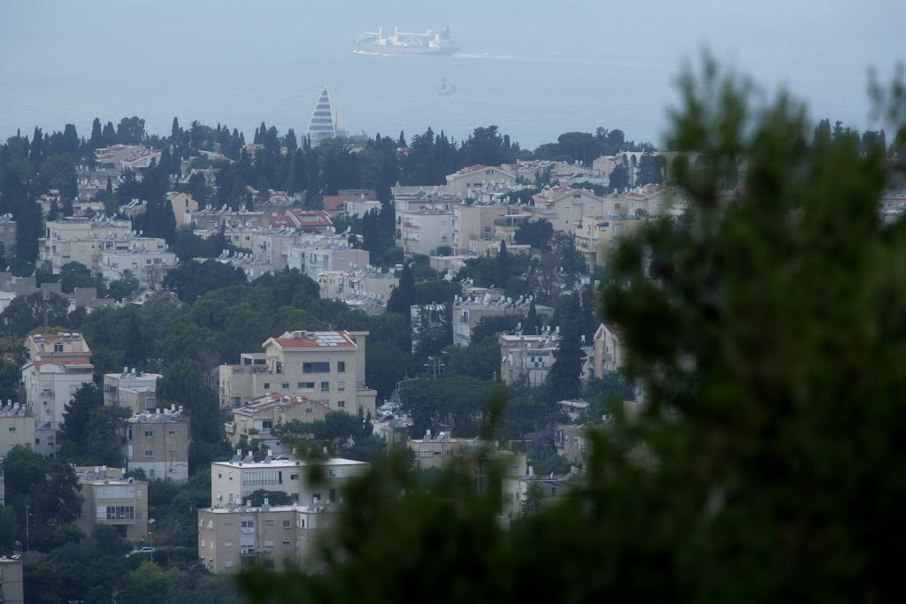 View from Carmel Haifa by Abraham Danot