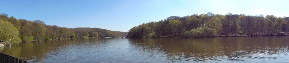 Pan Newmillerdam by Lorna Hawksworth