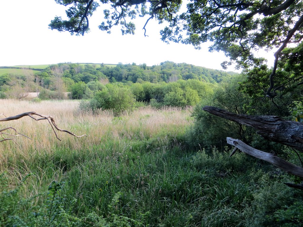 Slapton Leys NNR - May 2015 by Forester2009