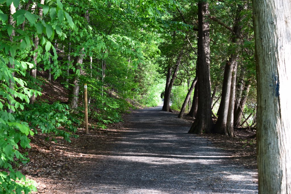 Manlius, NY, USA by Paul Hughes