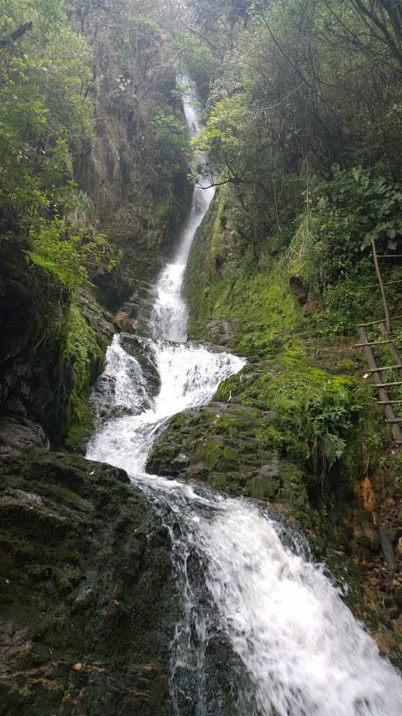 CASCADA EN SARAGURO by Andres Villacres