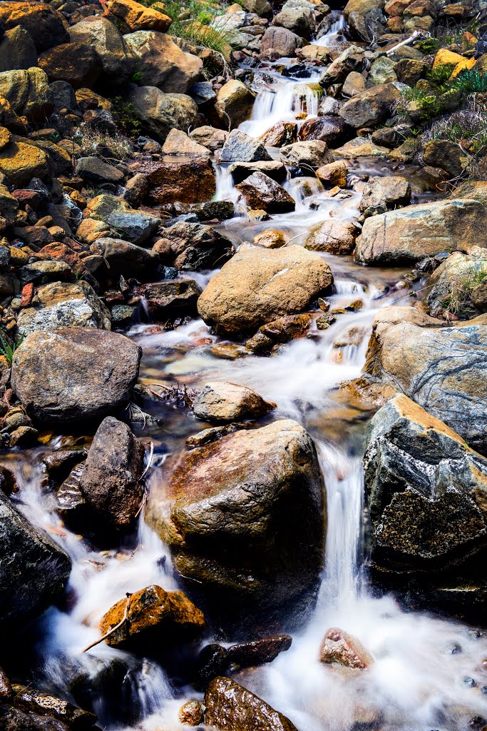 Nyott Creek_DSC4527 by Larry Doc Butcher