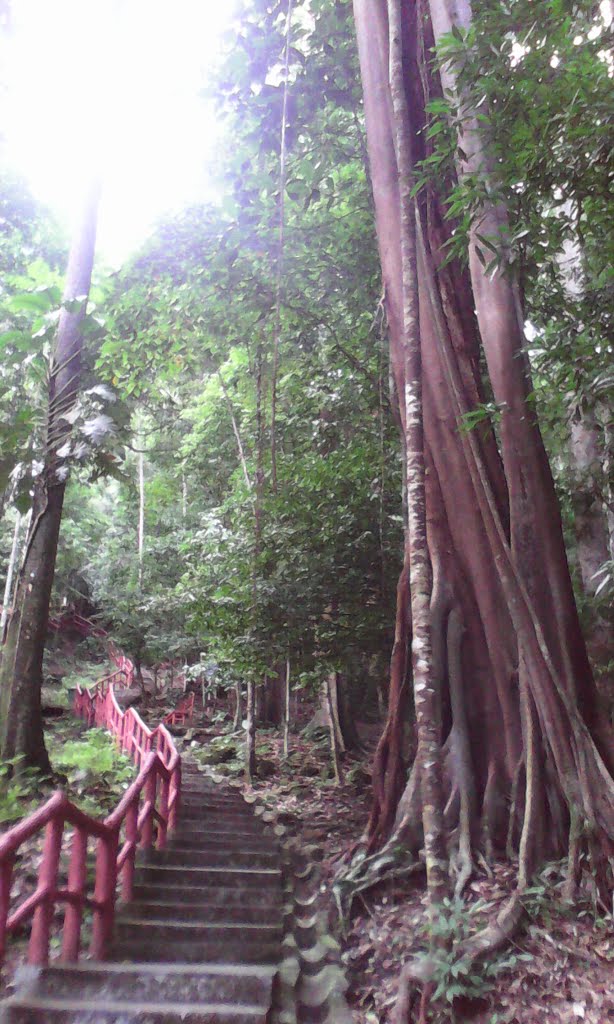 Langkawi, Kedah, Malaysia by Andrew J