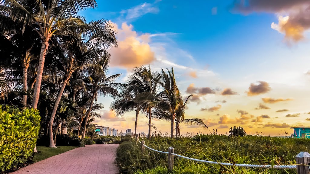 Very early in SoBe by ThesergeantAGS Gonza…