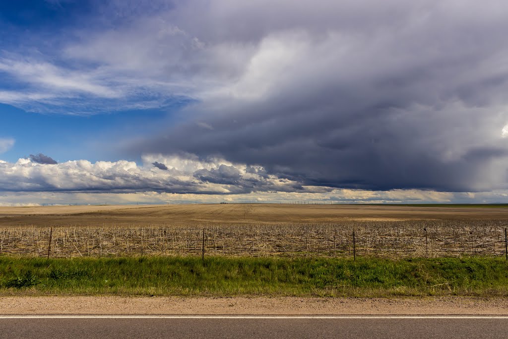 Colorado Plains by Devan Mayer