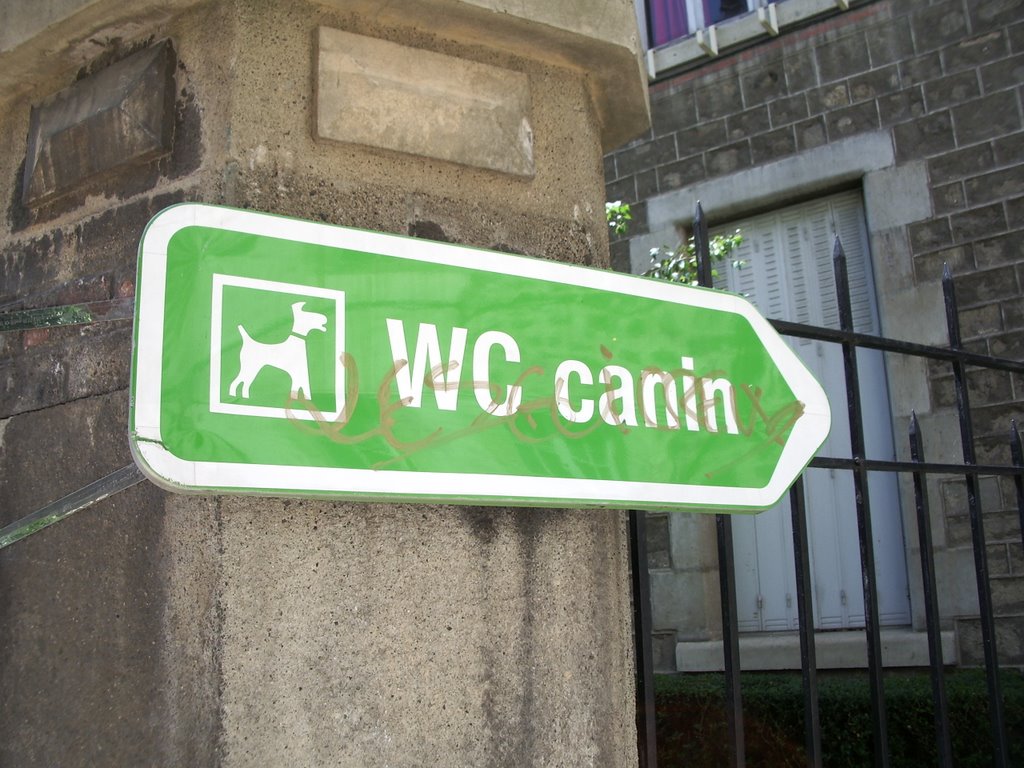 WC Canin by Guillem Beltrà