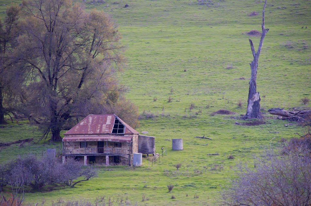 Lonely and forlorn on the road to Batlow by James Vickers