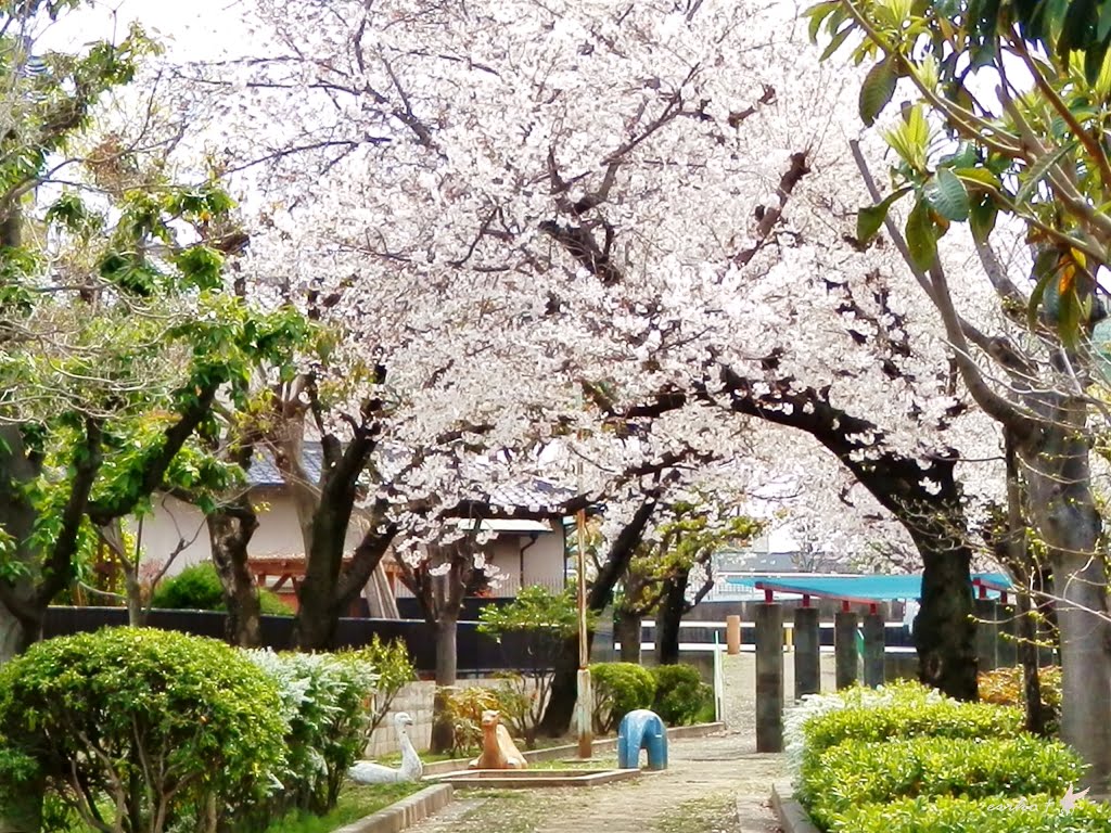 楠根川緑地 by Eriko Emoto