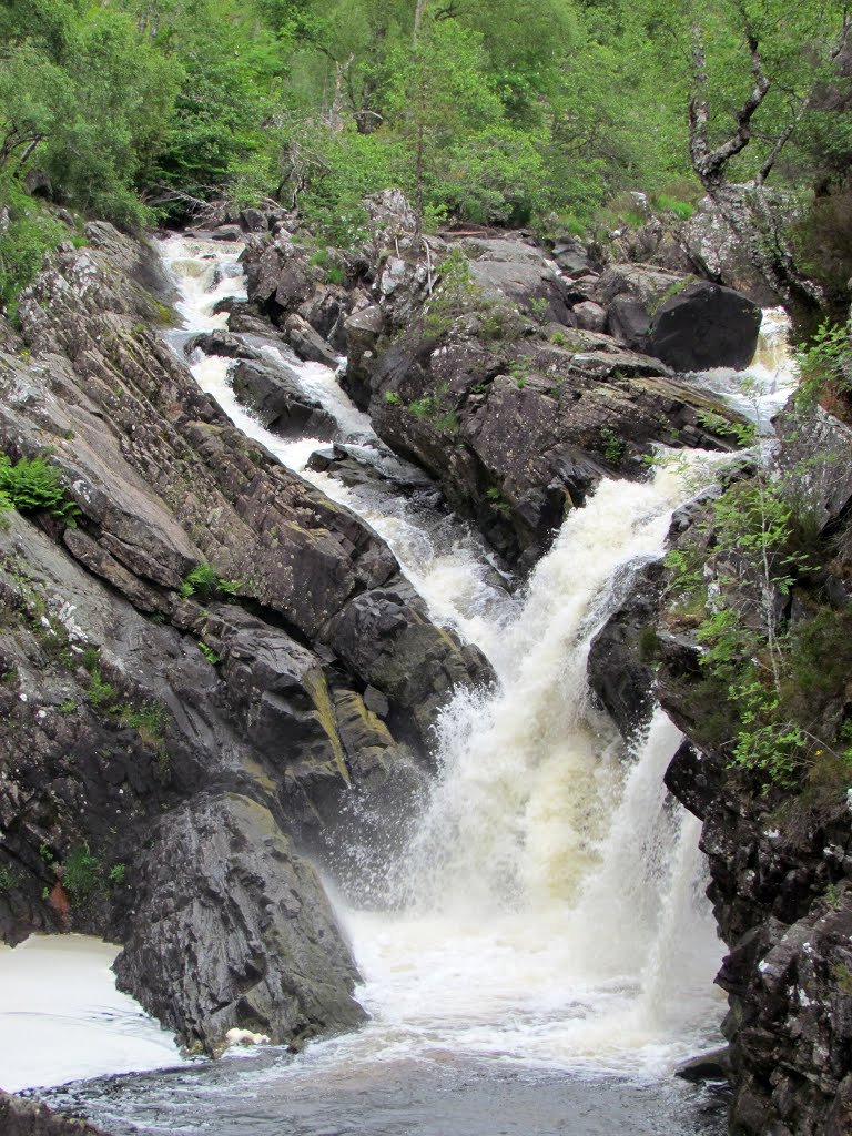 Scozia - Tarvie - Rogie Falls by Maurizio Giove