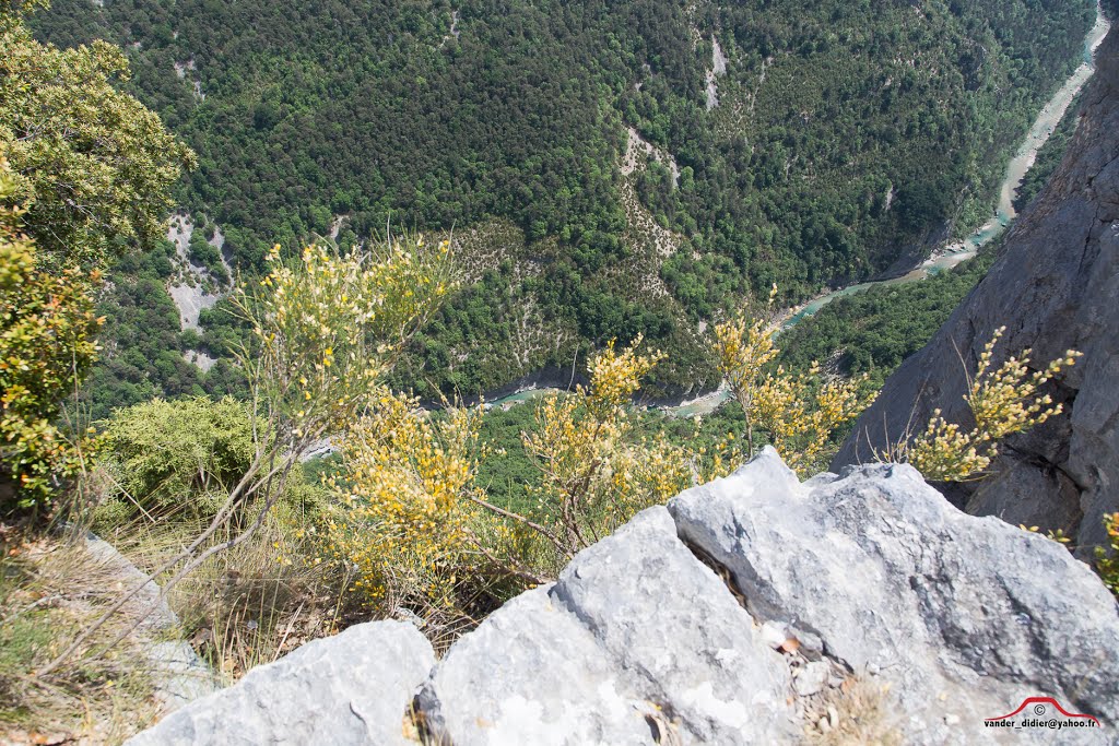 04120 La Palud-sur-Verdon, France by vanderweyen.didier