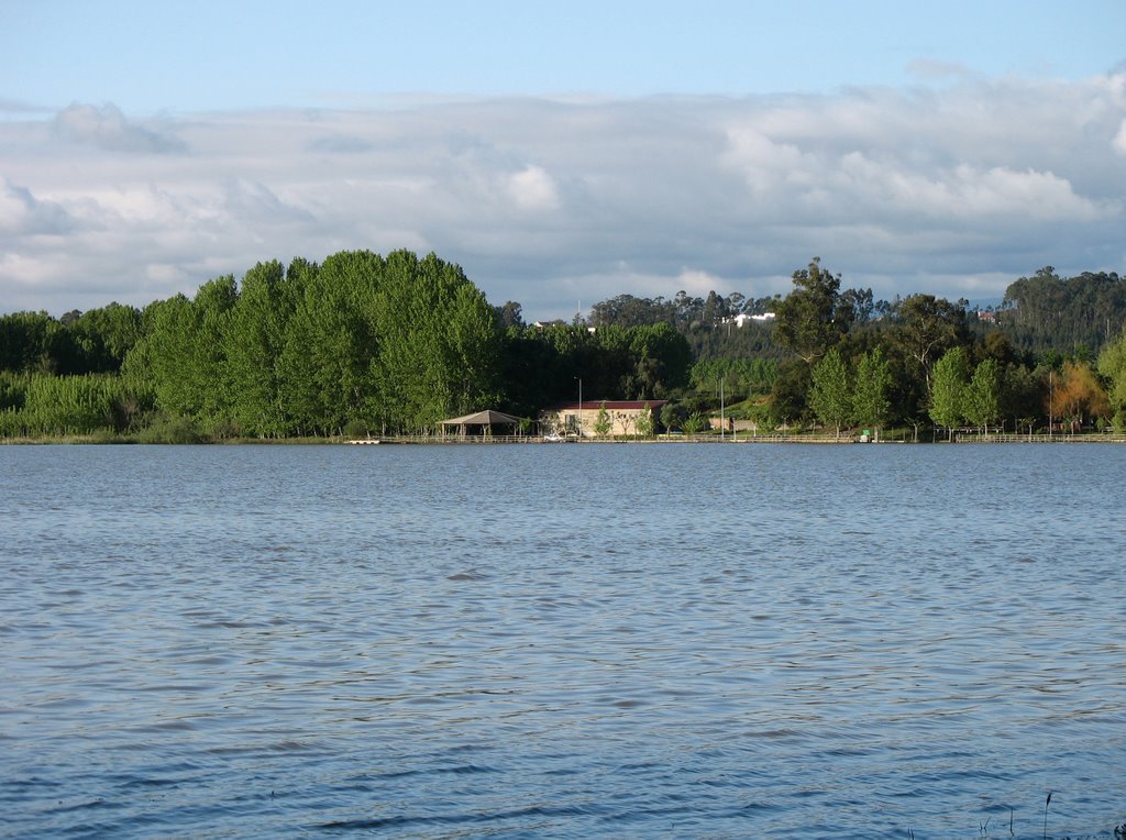 Lagoa da Pateira, margem de Óis da Ribeira by rbagd