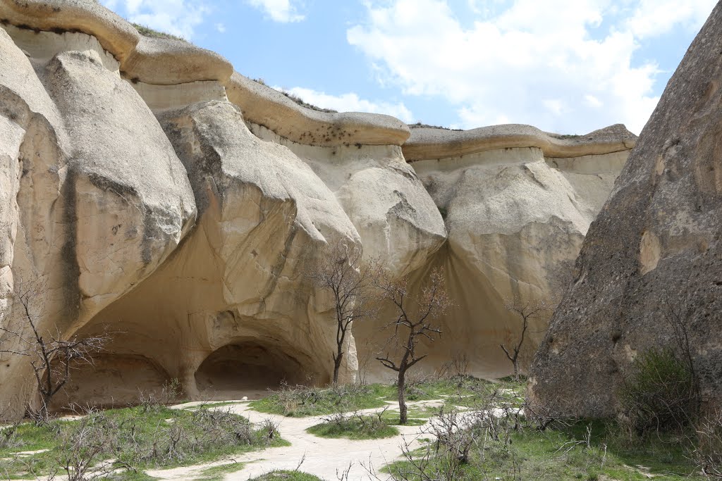 Pasabag, Cappadocia by pskusek