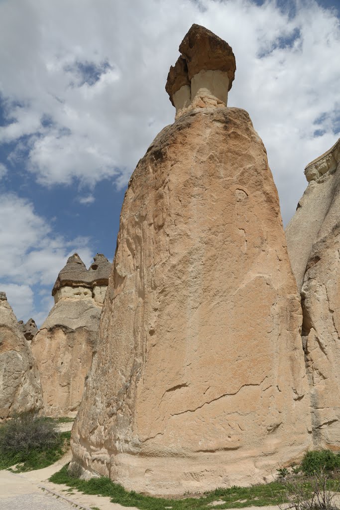 Pasabag, Cappadocia by pskusek