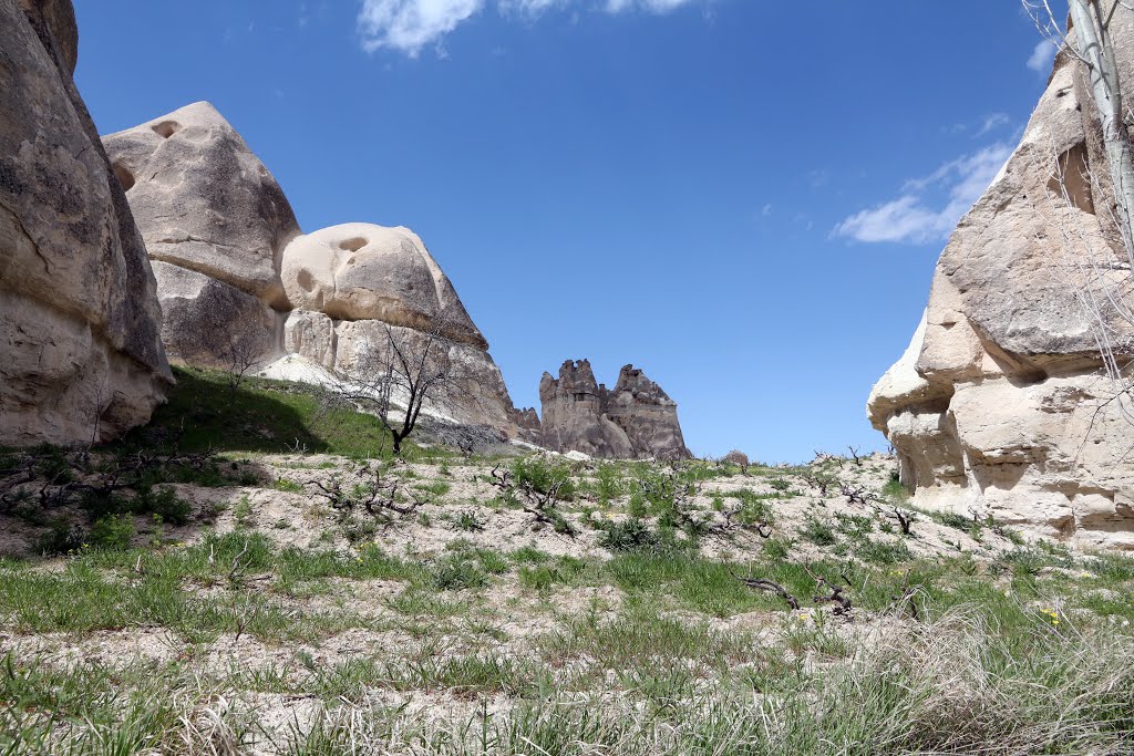 Love Valley, Cappadocia by pskusek