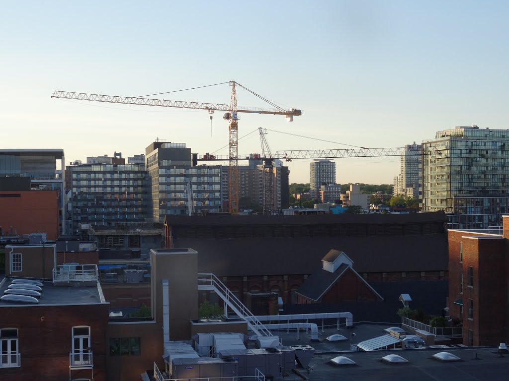 Cranes constructing the new Globe and Mail building, at dusk, 2015 06 03 (1).JPG by OldYorkGuy