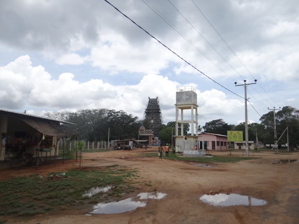 Keerimalai Naguleswaram Temple by Senanayaka Bandara