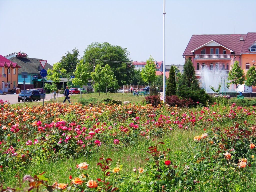 Мукачеве. На площі Героїв Майдану. 31.05.2015р. by Пётр Жажко