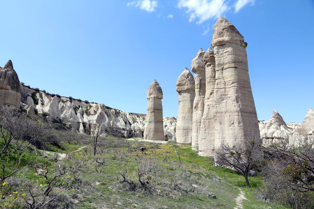 Love Valley, Cappadocia by pskusek