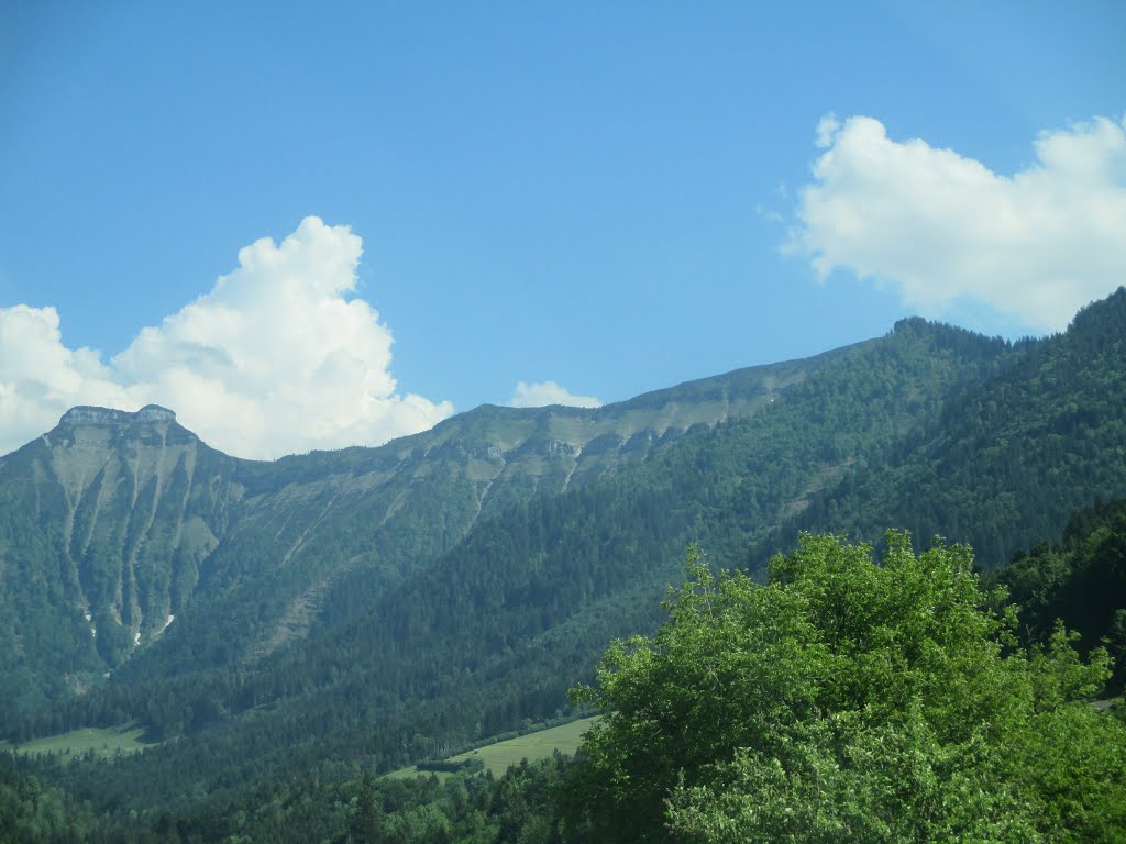 Blick zum Schmittenstein (1695m) und Schlenken (1648m) by Daniel Gruber