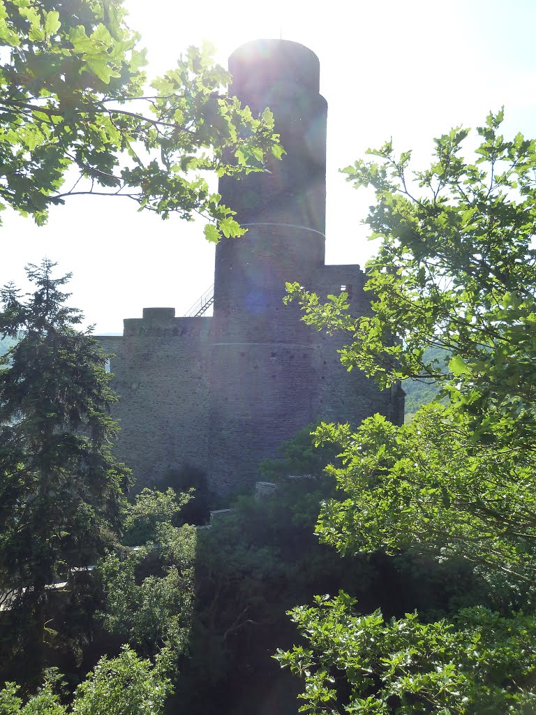 Rheinsteig von Kestert nach St Goarshausen, Wellmich, Burg Maus 150604 by helicop