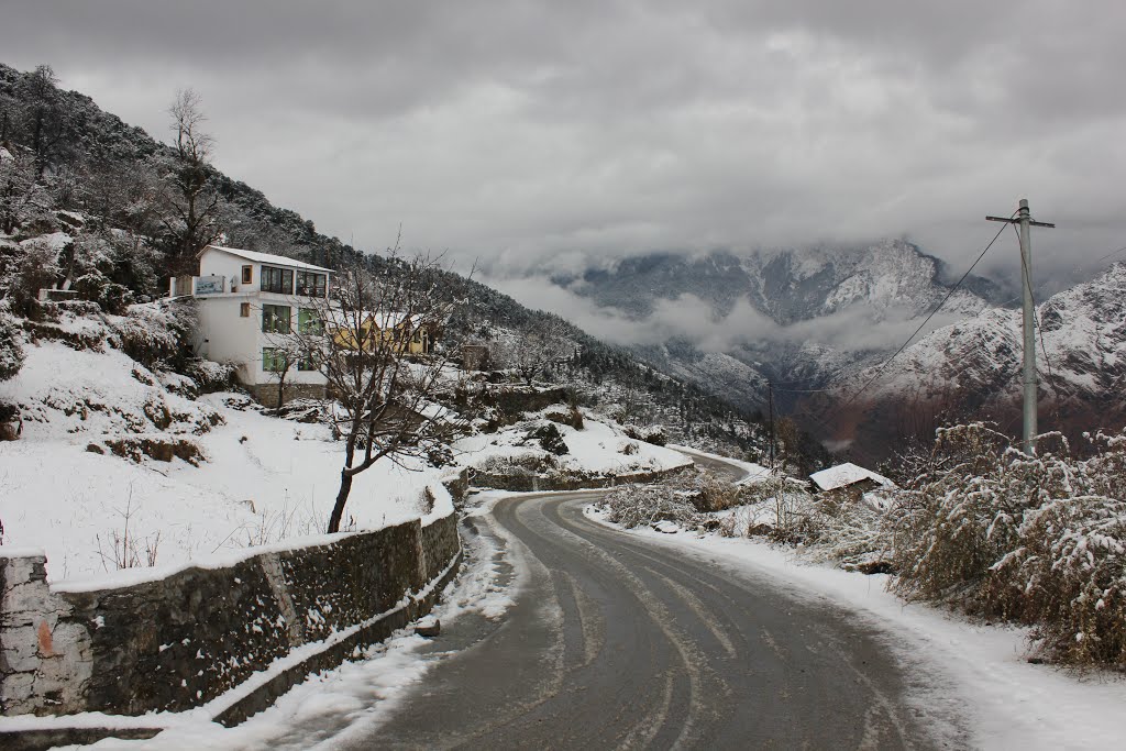 On The Way to Auli by Nishant Dave