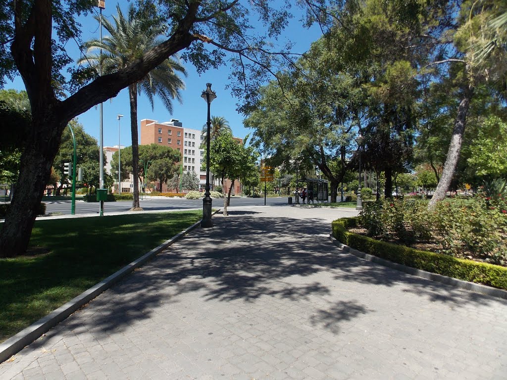 Avenida del Conde de Vallellano by S. Jimenez