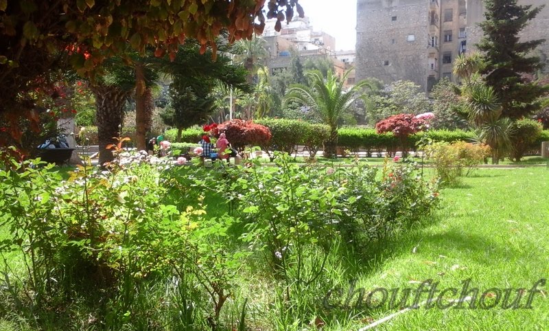 Jardin rue khemisti by chouf tchouf