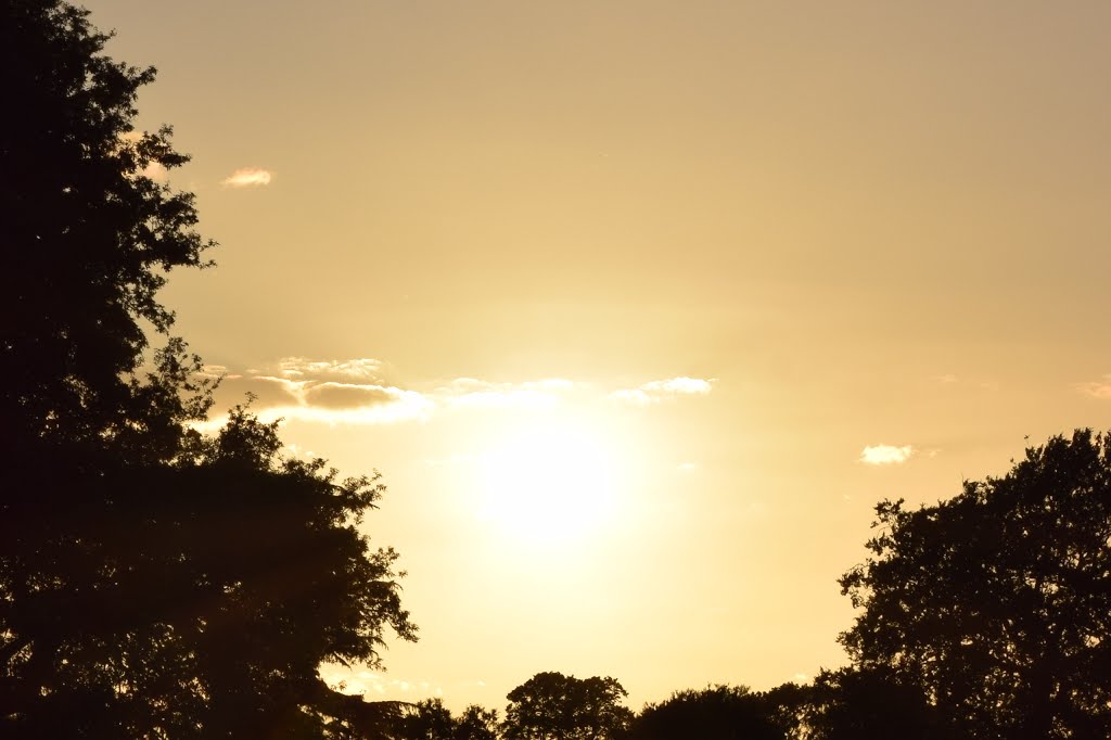 Sunset at Sunbury Park, Sunbury on Thames by Fiona Killick