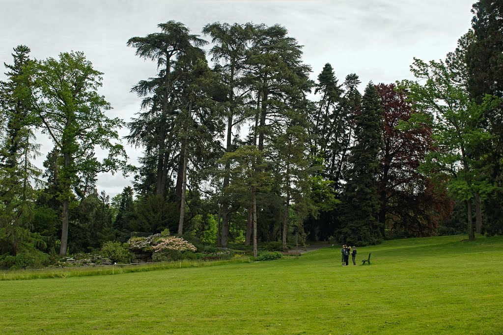 La Grange, Genève, Switzerland by Oleg Muravskiy