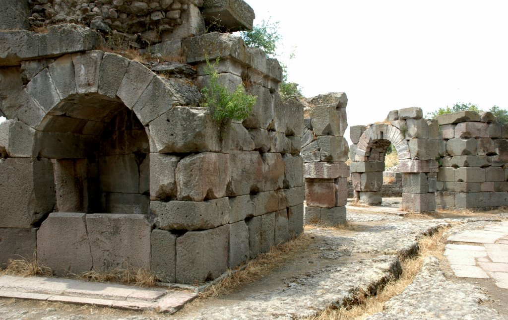 Remains of Galen's clinic which catered to Roman women by kluke