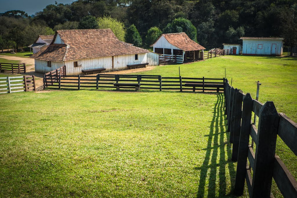 Contenda - State of Paraná, Brazil by autofocus20