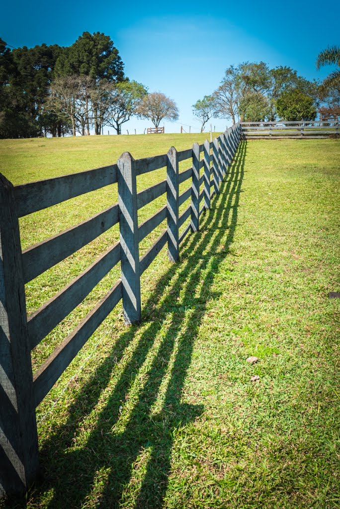 Contenda - State of Paraná, Brazil by autofocus20