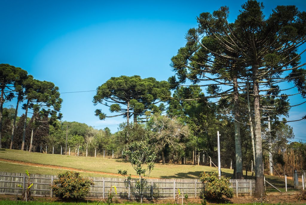 Contenda - State of Paraná, Brazil by autofocus20