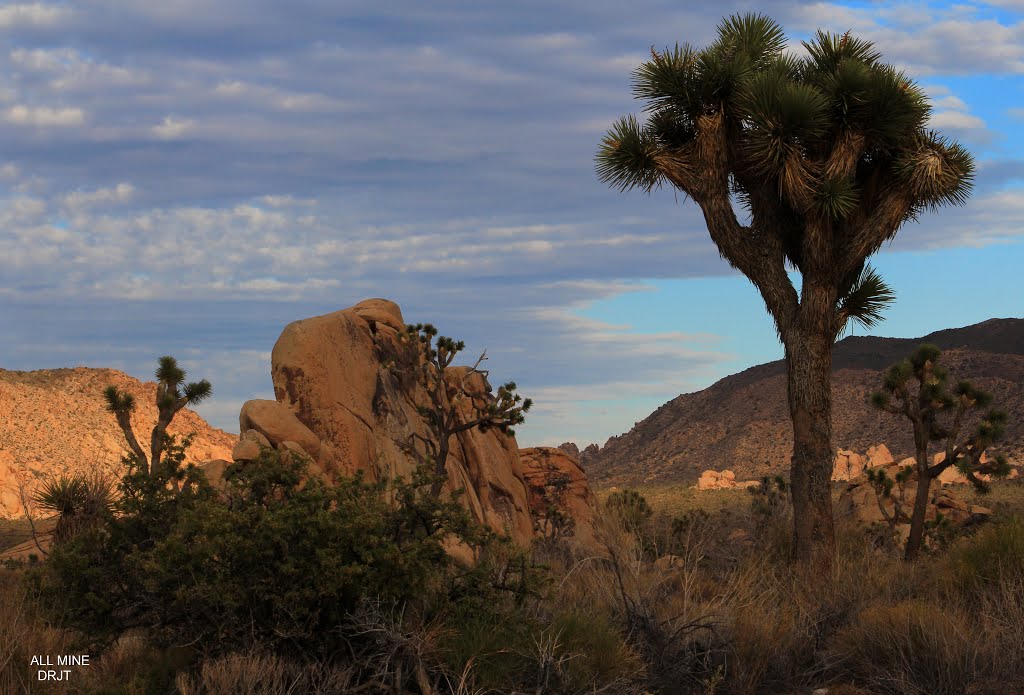 Intersection Rock, JTNP by DesmondRJT@gmail.com