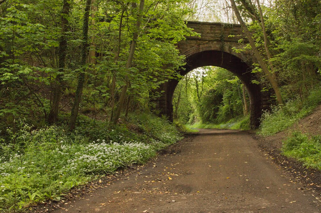 Cycle path on old railway track. by DAVHAR