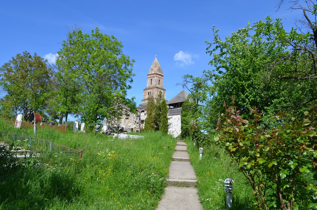 Densuș 337205, Romania by radudrescu radu