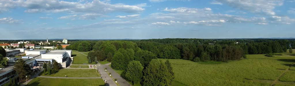 Třeboň - Panorama look from Peat Spa Aurora on city centre and park in shore pond World by Jaroslav Presl