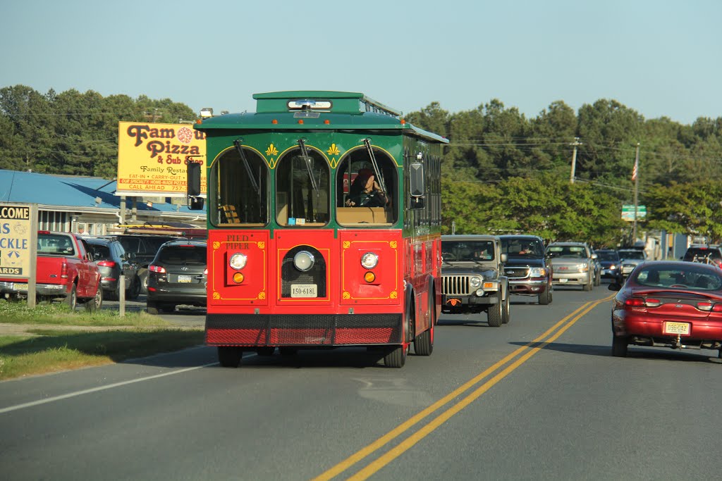 Chincoteague Sights by Ron Shawley