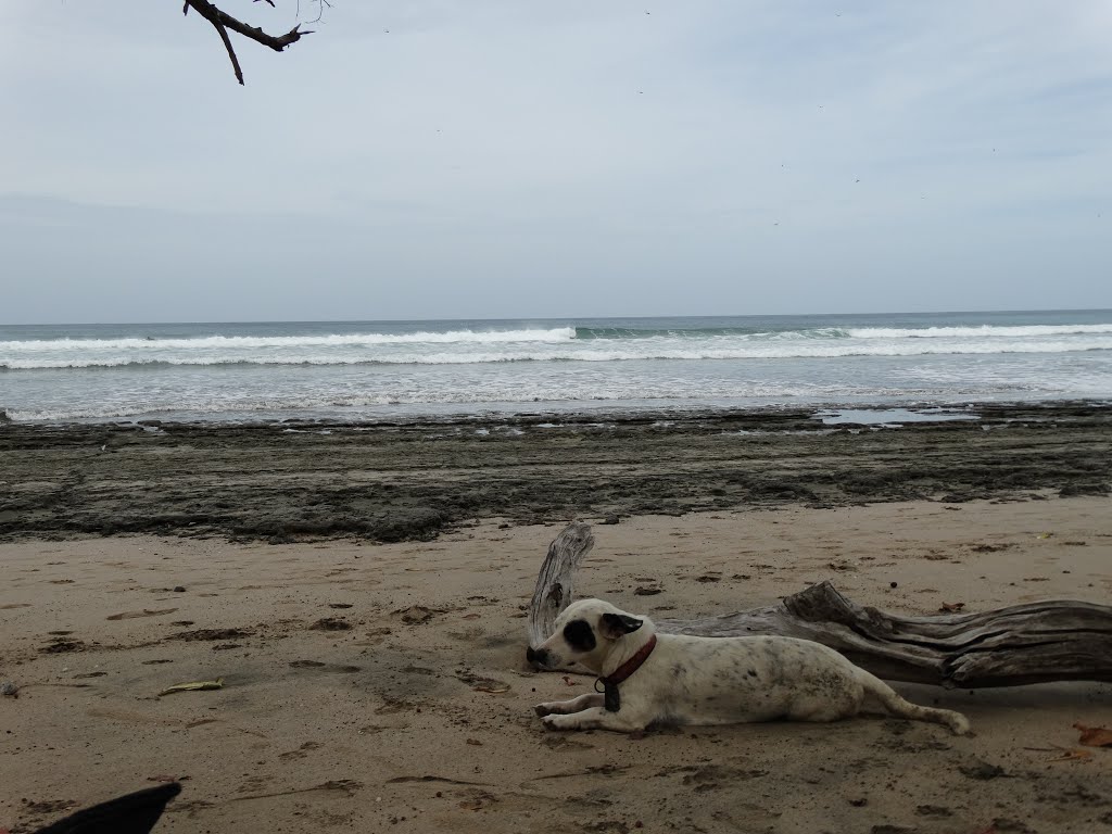 Las Olas, Guanacaste, Costa Rica by PEDRINE GUIMARÃES