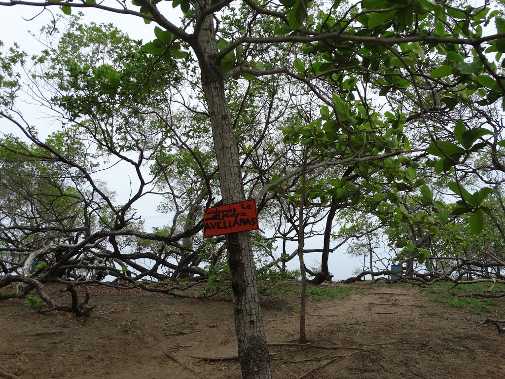 Las Olas, Guanacaste, Costa Rica by PEDRINE GUIMARÃES