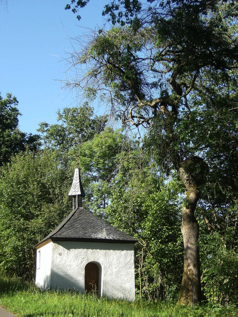 Kapelle unterm Korkenzieherbaum by Halogucker