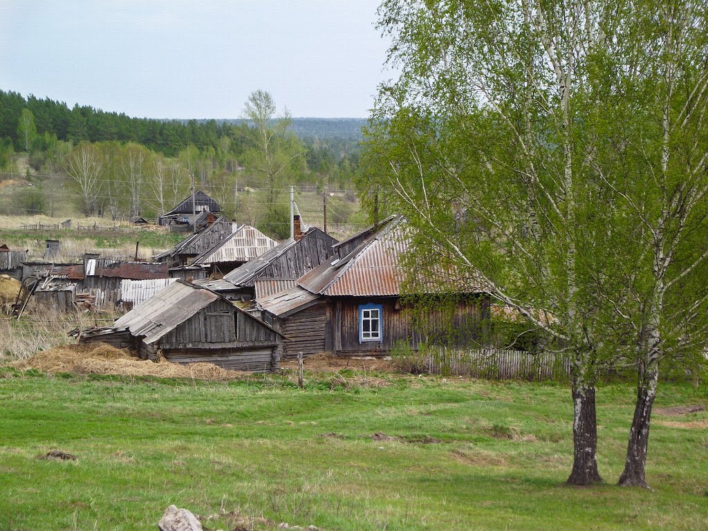 Zarechnyy, Kemerovskaya oblast', Russia, 652793 by Andy Psyandr