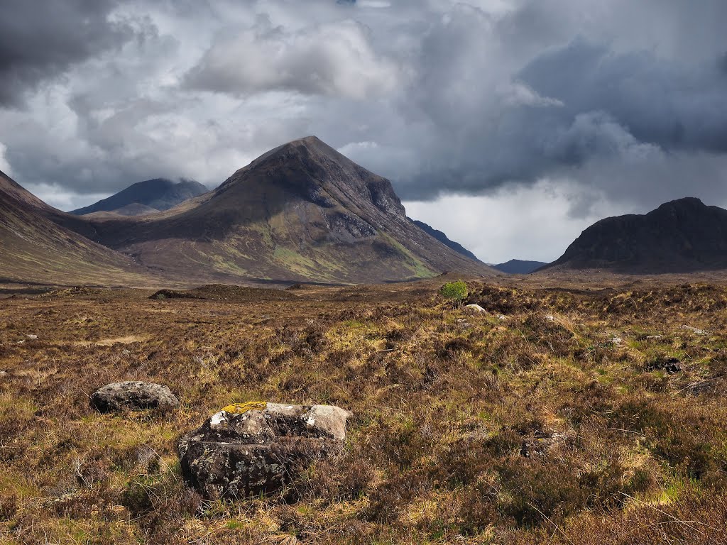 Highland, UK by Tim Gardner